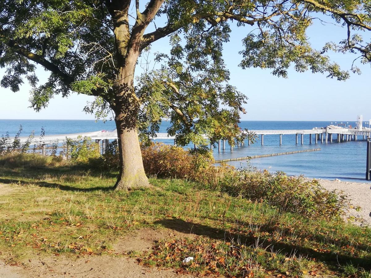 Ostseetraum Koserow Exteriör bild